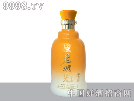 βƿYX893-500ml